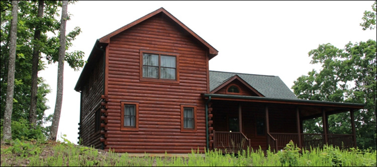 Professional Log Home Borate Application  Hale County, Alabama